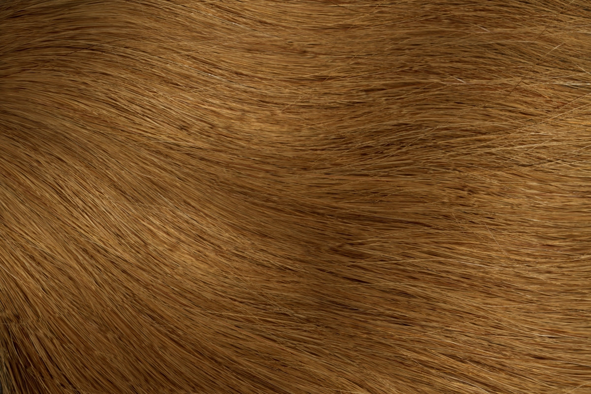 Luxury Machine Wefts